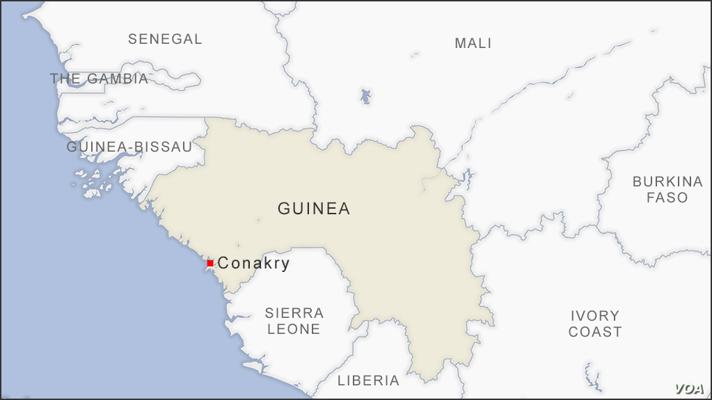 Guinea_1.png