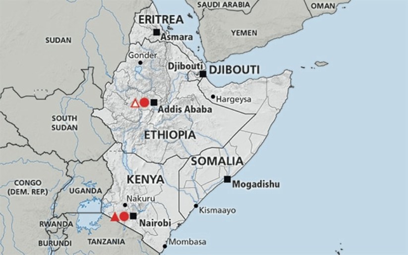 corno_dafrica.jpg
